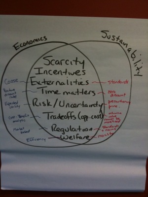 Economics Sustainability Diagram