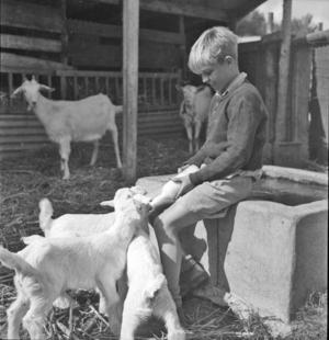 School Farm , Givat Brenner, Education in Israel