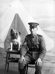 Soldier and Dog
