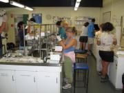Australia lab group