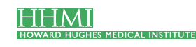 HHMI logo
