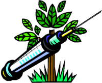 Plant-Based Vaccines