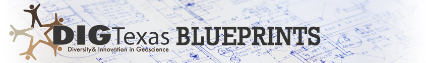 Texas DIG Blueprints