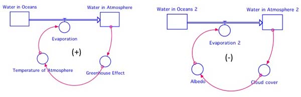 Stella diagrams of positive and negative feedback loops
