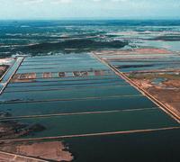 Aquaculture