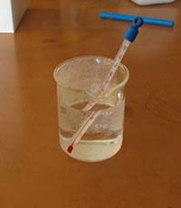 Beaker with Thermometer