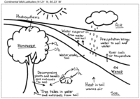 Continental Mid-Latitudes Study Site