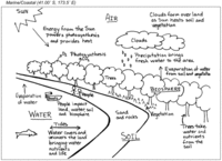 Marine/Coastal Study Site