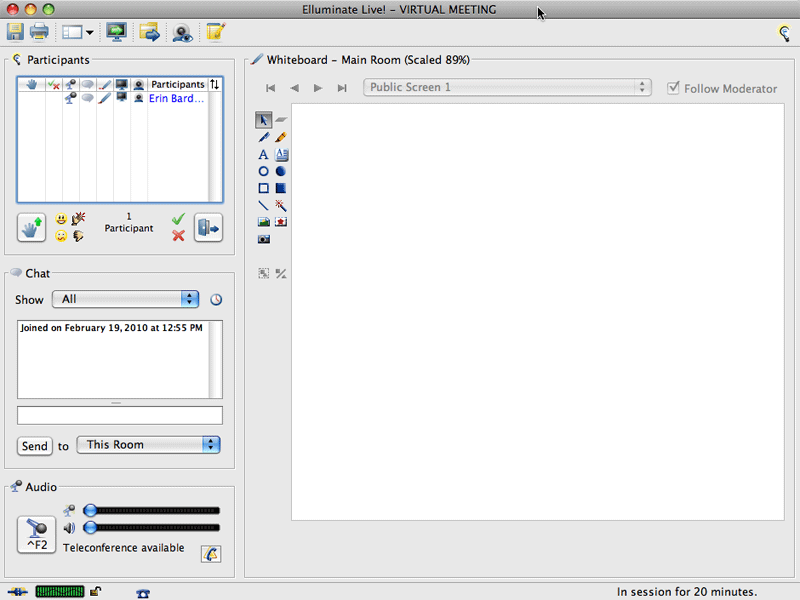 Elluminate Session Window