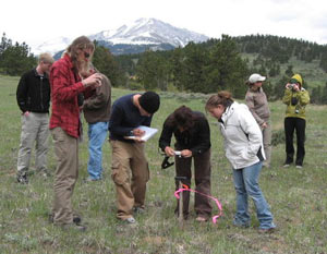 Student field work