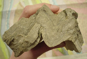 A folded rock and a topographic map showing folded formations