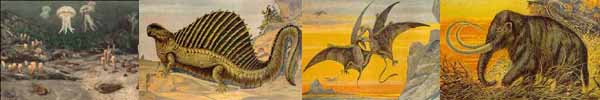 A faunal rogues gallery of the Phanerozoic Eon