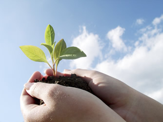 A student holding a seedling plant