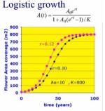 Image for analytical model