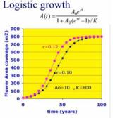 Image for analytical model