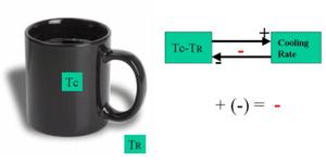 Negative feedback example using a coffee cup