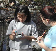 Students conducting pH and conductivity tests in the field