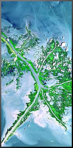 A birdsfoot delta at the mouth of the Mississippi River.  Photo courtesy of NASA/JPL.