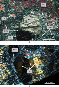 Photomicrograph of South Chamorro seamount serpentinite