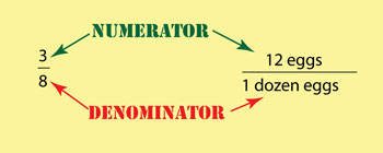 illustration of numerator and denominator