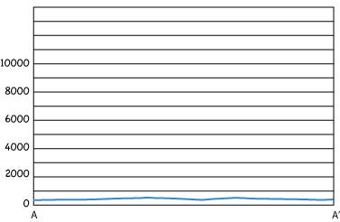 example Profile with no exaggeration
