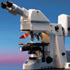 Zeiss microscope