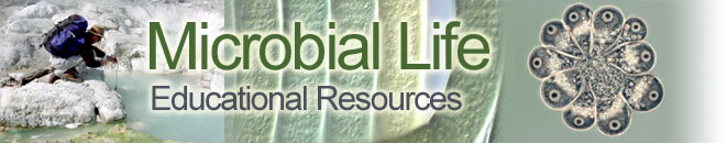SERC Logo