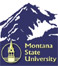MSU