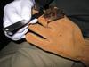 Examining a bat