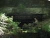 Mammoth Cave National Park