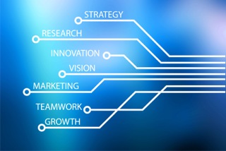Organizational Structure