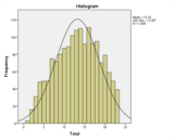 Histogram