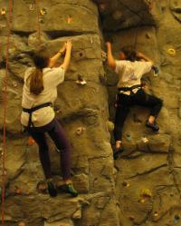Decorative Image showing SERC staff in a team-building outing.