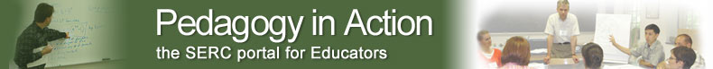 Pedagogy in Action