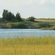 Salt marsh thumbnail