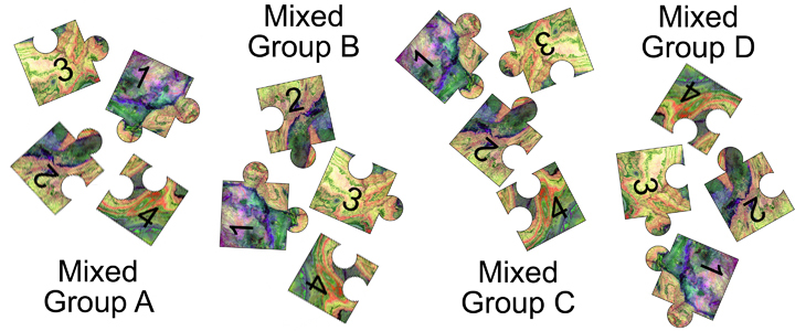 graphic of jigsaw mixed groups