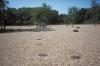Gravel bed at Beatrice 15 acres