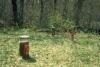 Monitoring wells at Debris Pile E