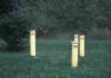 Nested monitoring wells at back of Grace property