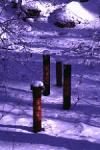 S84 nest in winter